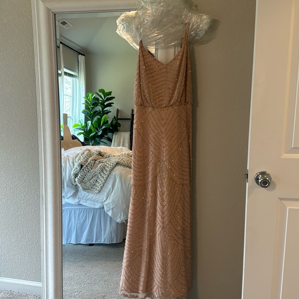 Adrianna papell maxi dress